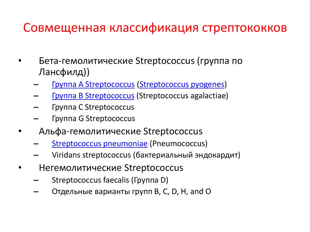 Стрептококки у женщин лечение. Стрептококки классификация латынь. Streptococcus pyogenes систематика. Бета гемолитический стрептококк. Классификация стрептокооког.