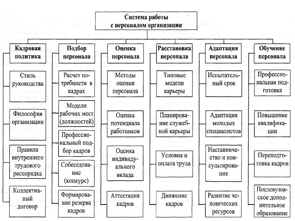 Расстановка в организации