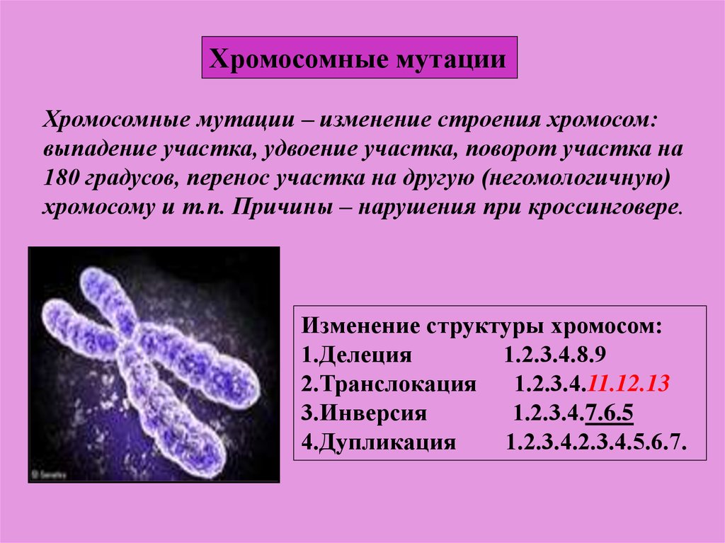 Вызывает изменение хромосом. Тип мутаций изменяющие структуру хромосом. Хромосомные мутации. Хромосомная изменчивость. Типы хромосомных мутаций.