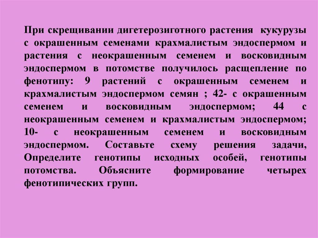 Скрестили дигетерозиготных. При скрещивании дигетерозиготного растения кукурузы. При скрещивании растений кукурузы. Дигетерозиготного растения. Дигетерозиготная растение кукурузы.