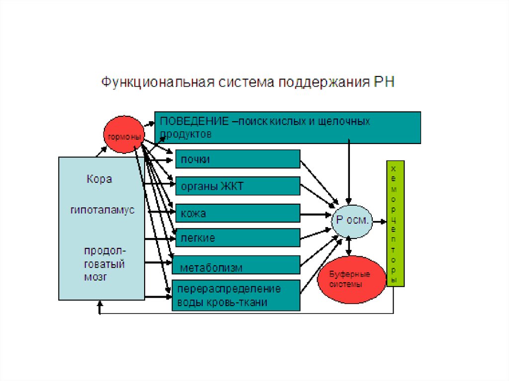 Функциональные системы образования. Функциональная система поддержания постоянства РН крови. Функциональная система поддержания PH крови. Функциональная система давления крови. Функциональная система речи.