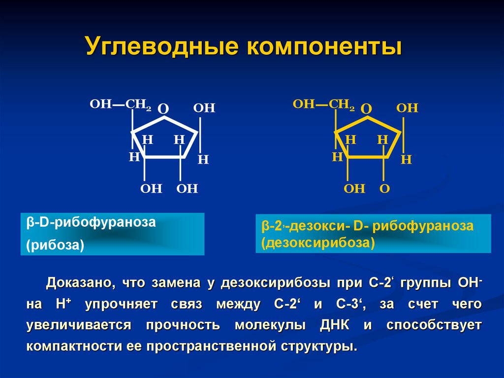 Строение рибозы. 2 Дезоксирибоза. Углеводные компоненты: рибоза и дезоксирибоза.. Структура углеводов дезоксирибоза. Углеводные компоненты.