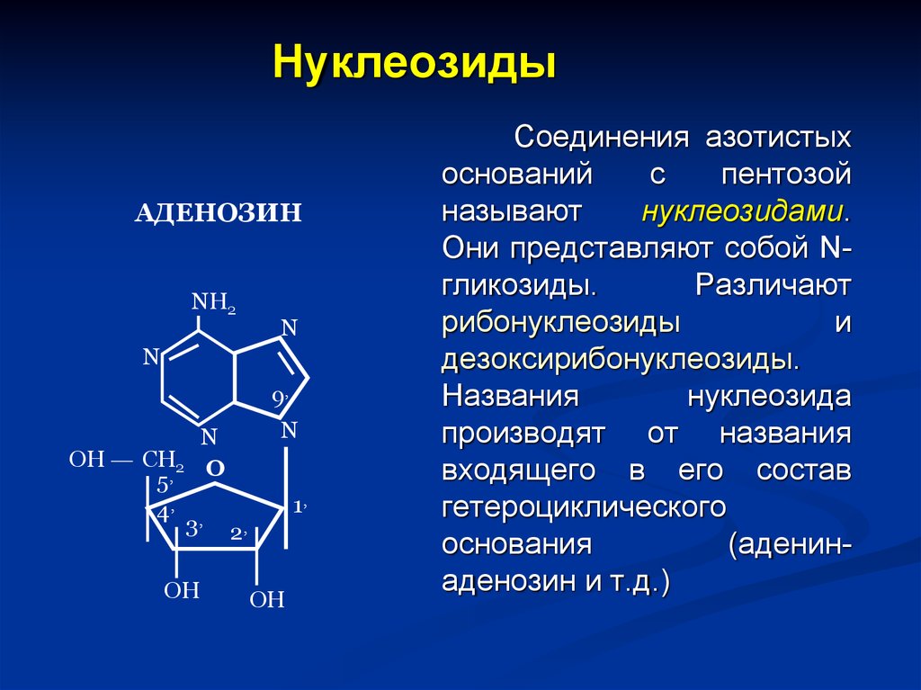 Соединение азотистых оснований. Нуклеозиды ДНК формулы. Нуклеозид представляет собой соединение азотистого. Строение нуклеозидов и нуклеозидов. Структура нуклеозидов и нуклеотидов.