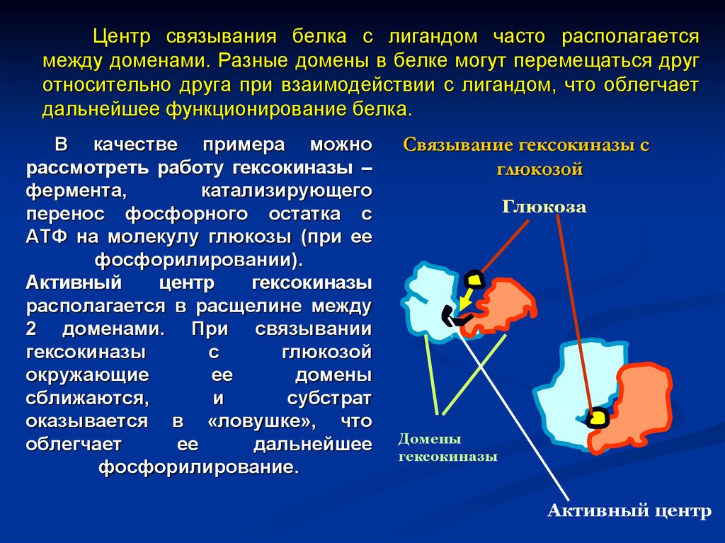 Активность белки. Центр связывания белка с лигандом. Взаимодействие белков с лигандами. Взаимодействие белка с лигандом. Белок-лигандные взаимодействия это.