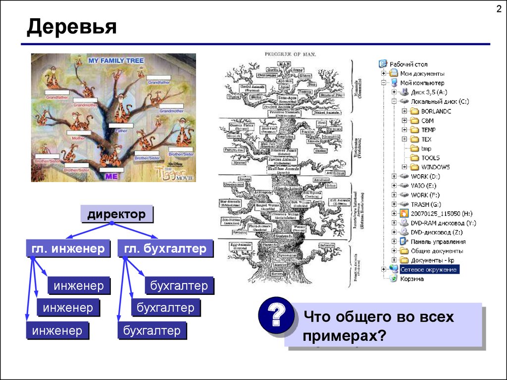 Динамические структуры данных (язык Си). Тема 6. Деревья - презентация  онлайн