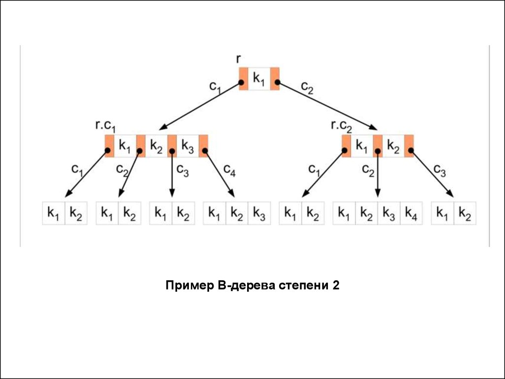 B деревья примеры. Степень дерева пример. Степень b дерева. Примеры деревьев. Пример динамического дерева.