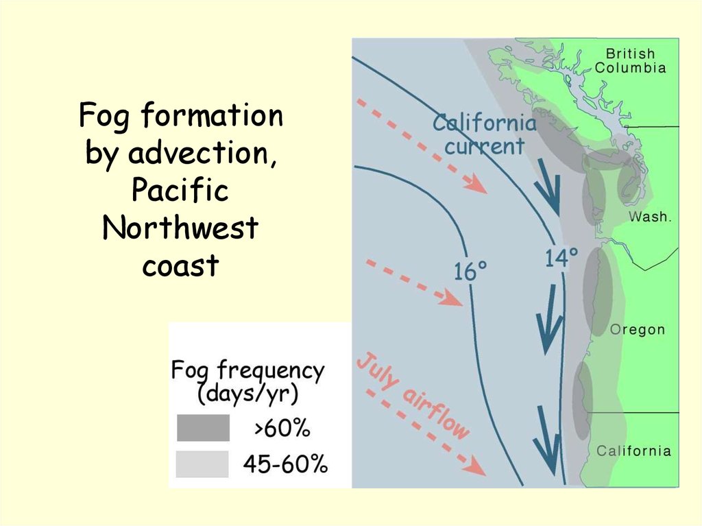 Fog formation by advection, Pacific Northwest coast