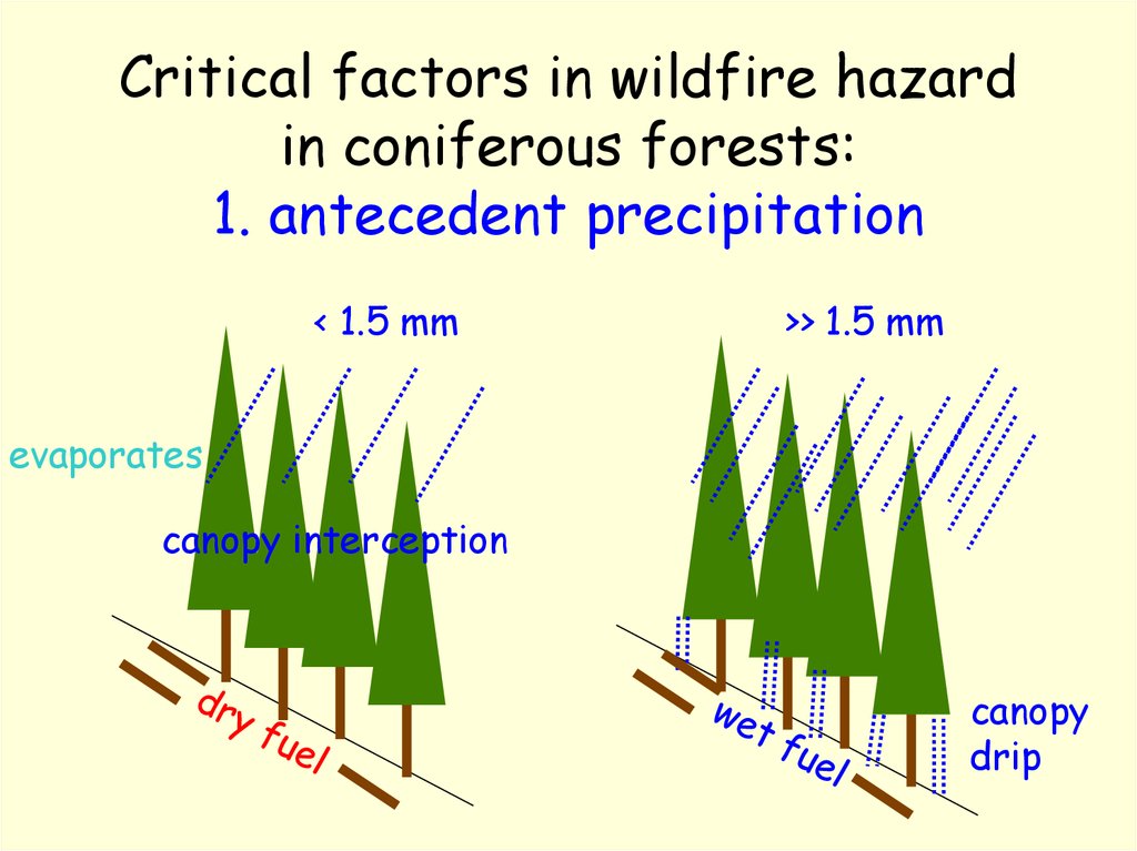 Critical factors in wildfire hazard in coniferous forests: 1. antecedent precipitation