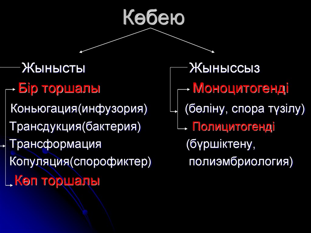 Өсімдіктердің көбеюі презентация