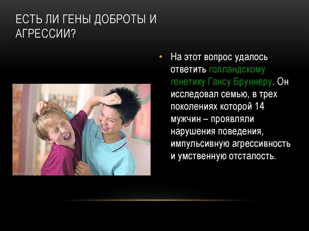 Есть ли гены доброты и агрессии?