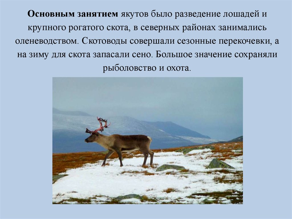 Согласно якутской традиции уважительное отношение. Основное занятие якутов. Доклад про якутов.