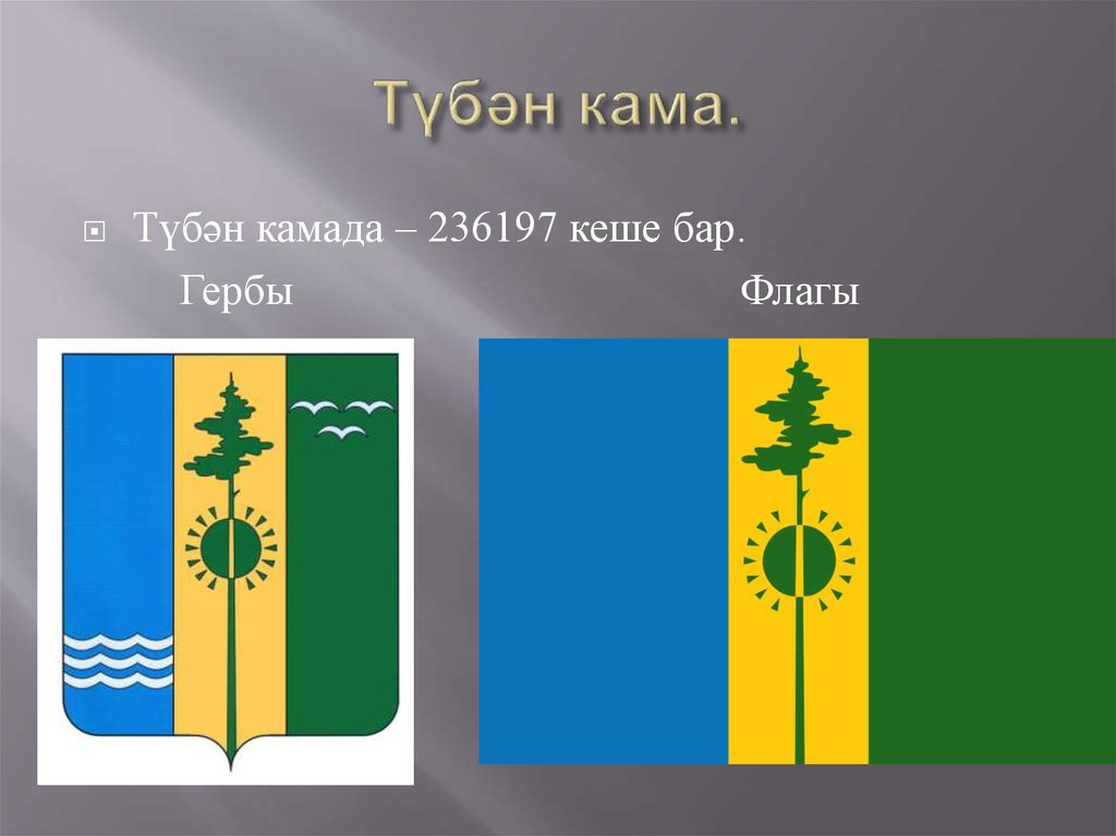 Герб нижнекамска. Герб города Нижнекамска. Герб и флаг Нижнекамска. Герб Нижнекамского района.