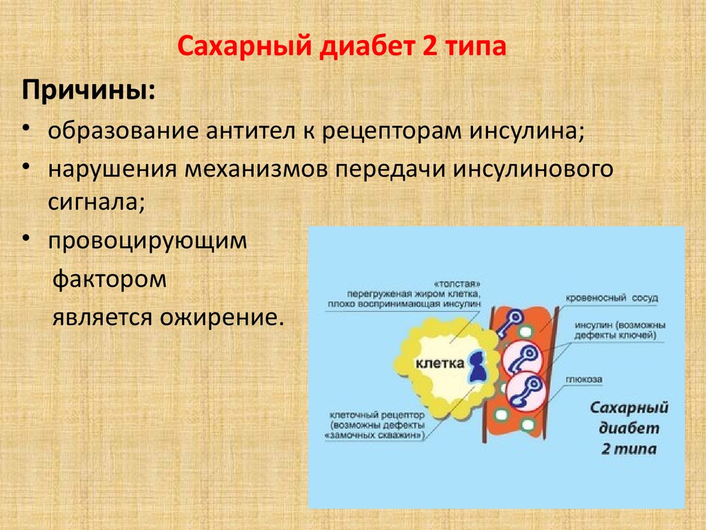 Причины сахарного диабета 1 и 2 типа. Причины развития сахарного диабета 2 типа. Факторы сахарного диабета 2 типа. Сахарный диабет рецепторы инсулина. Почему возникает диабет 2 типа.