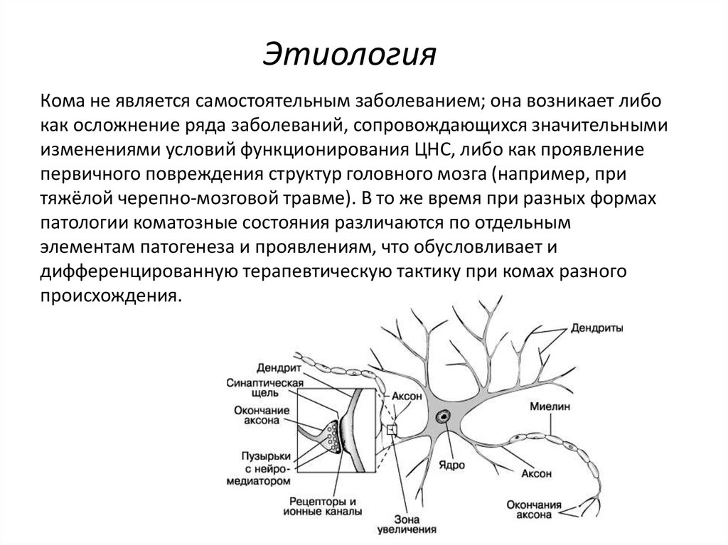 Кома неясного генеза карта вызова смп