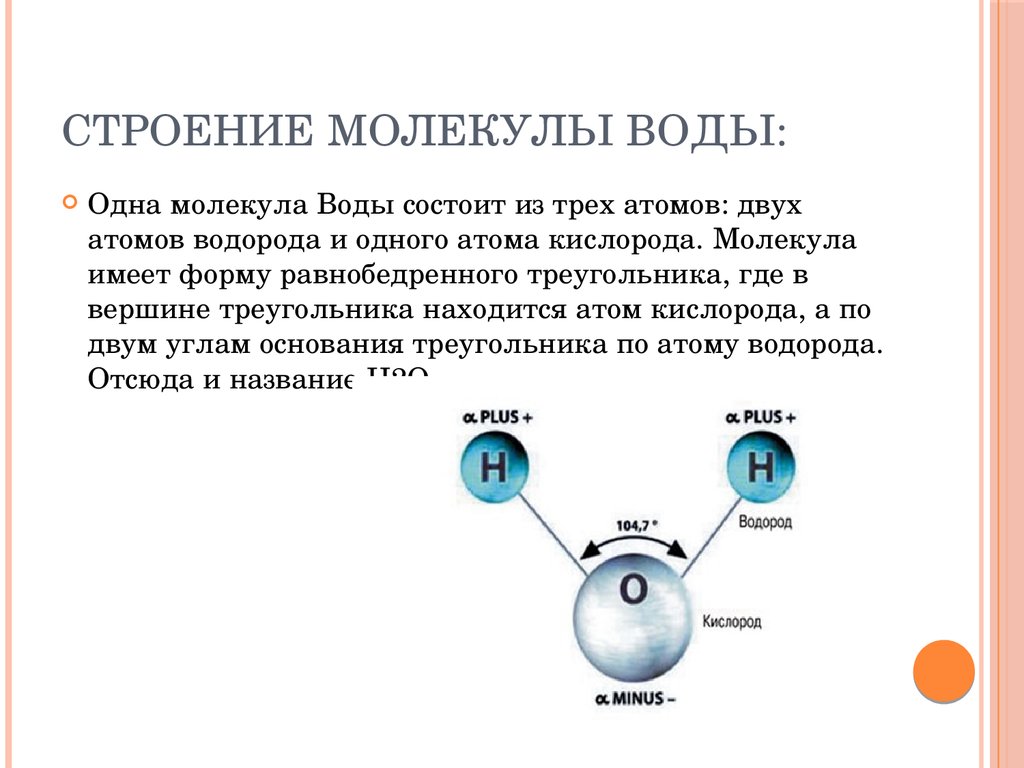 Состав и строение молекулы