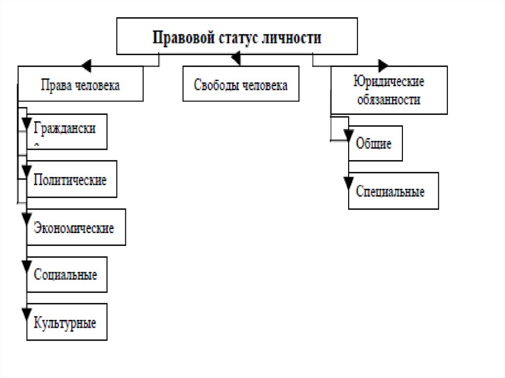 Правовой статус личности картинки