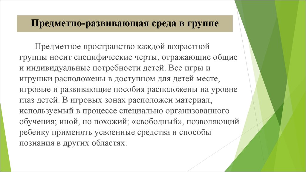 Предметная группа. Предметные группы. Содержательное пространство что такое. Специфические особенности детской группы. Отражение основные черты.