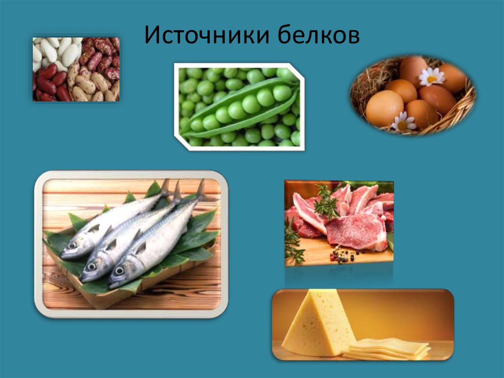 Белок источники белка. Источники белка в продуктах. Источник белков в продуктах. Источники полезных белков. Пищевые продукты источники белка.