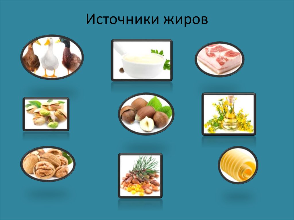 Источники жиров. Источники жиров в продуктах. Источники жира (источники Омега-6). Источники жиров химия.