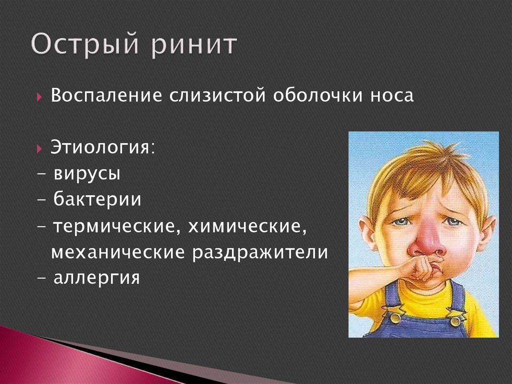 Клиническая картина ринита