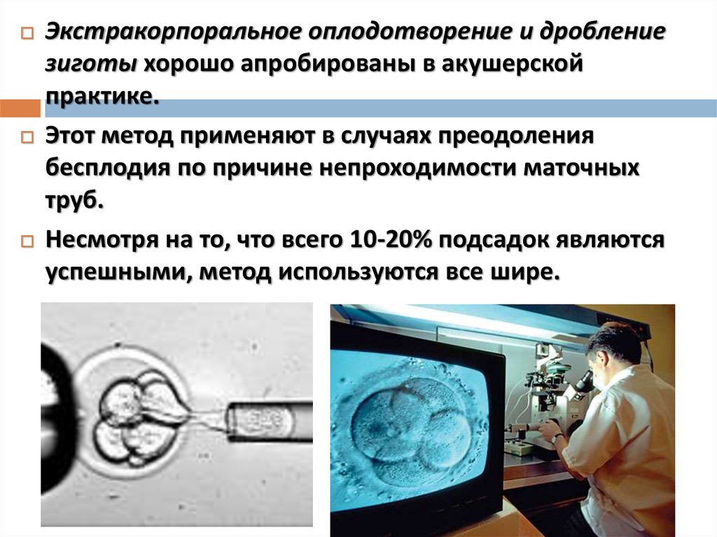 Как происходит искусственное оплодотворение. Экстракорпоральное оплодотворение. Эко экстракорпоральное оплодотворение. Экстракорпоральное оплодотворение это метод. Экстракорпоральное оплодотворение презентация.