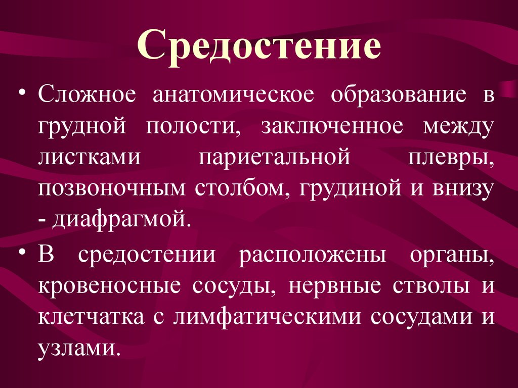 Средостение это. Средостение. Средостение анатомия. Средостения грудной клетки. Понятие средостенении.