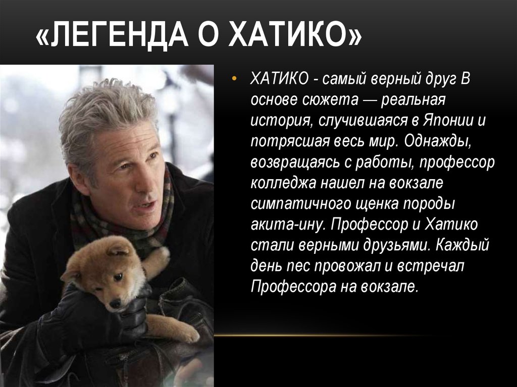 Хатико николаевское. Рассказ о собаке Хатико.