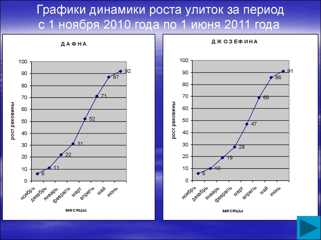 Исследовательская работа Условия содержания в домашних условиях улиток Ахатина - биология, прочее