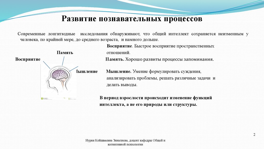 Когнитивная сфера