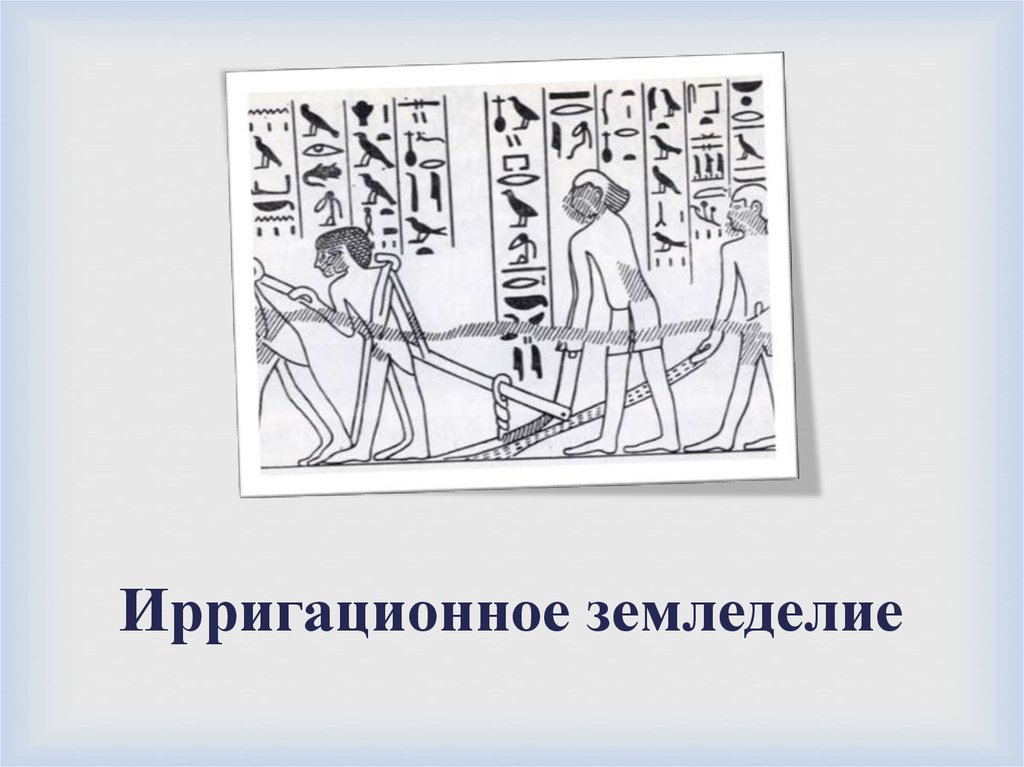 Ирригационное земледелие