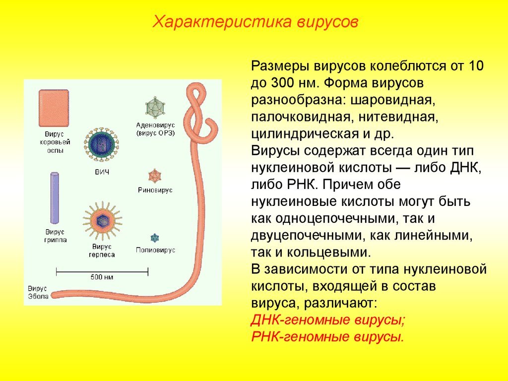 Вирусы биология задания. Характеристика вирусов биология 5. Свойства вирусов таблица. Характеристика особенности вируса. Краткая характеристика вирусов.