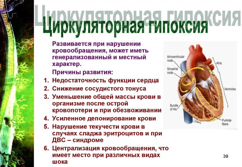 Гипоксия клеток. Циркуляторная гипоксия. . Циркуляторная гипоксия развивается. Причины развития циркуляторной гипоксии. Причины гипоксии циркуляторного типа.