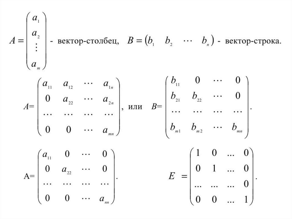 Линейная алгебра