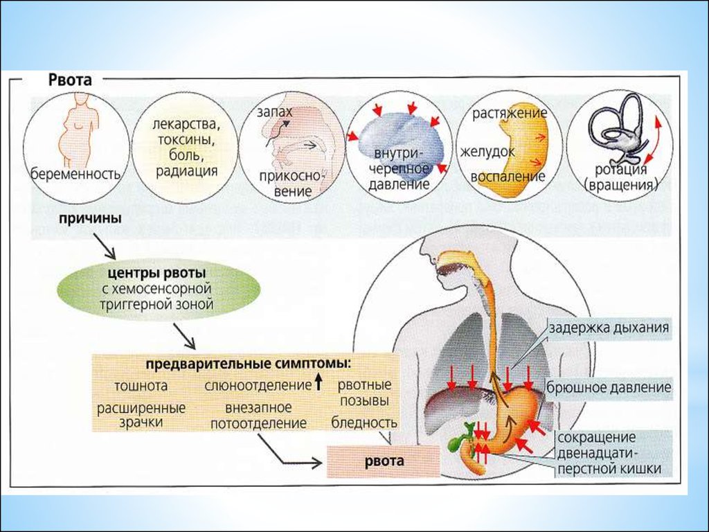 Картинки вызывающие рвотный рефлекс