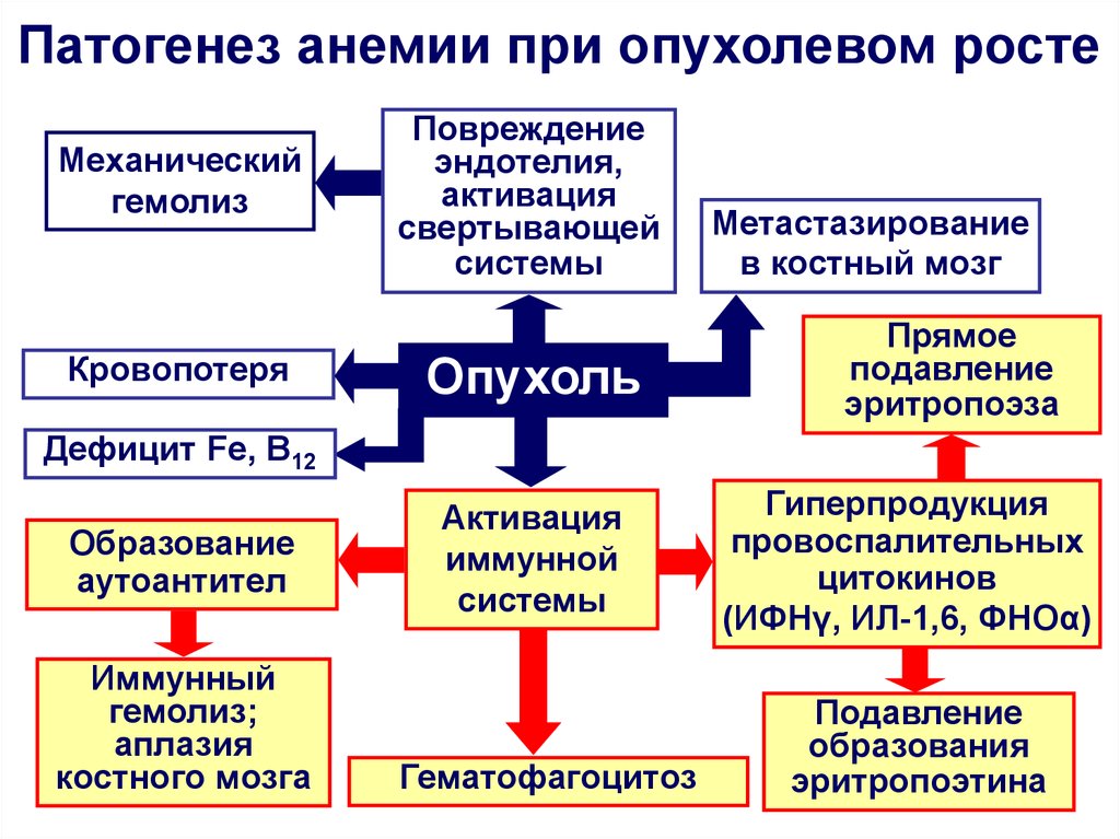 Схема патогенеза опухоли