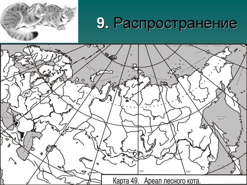 Ареал на карте