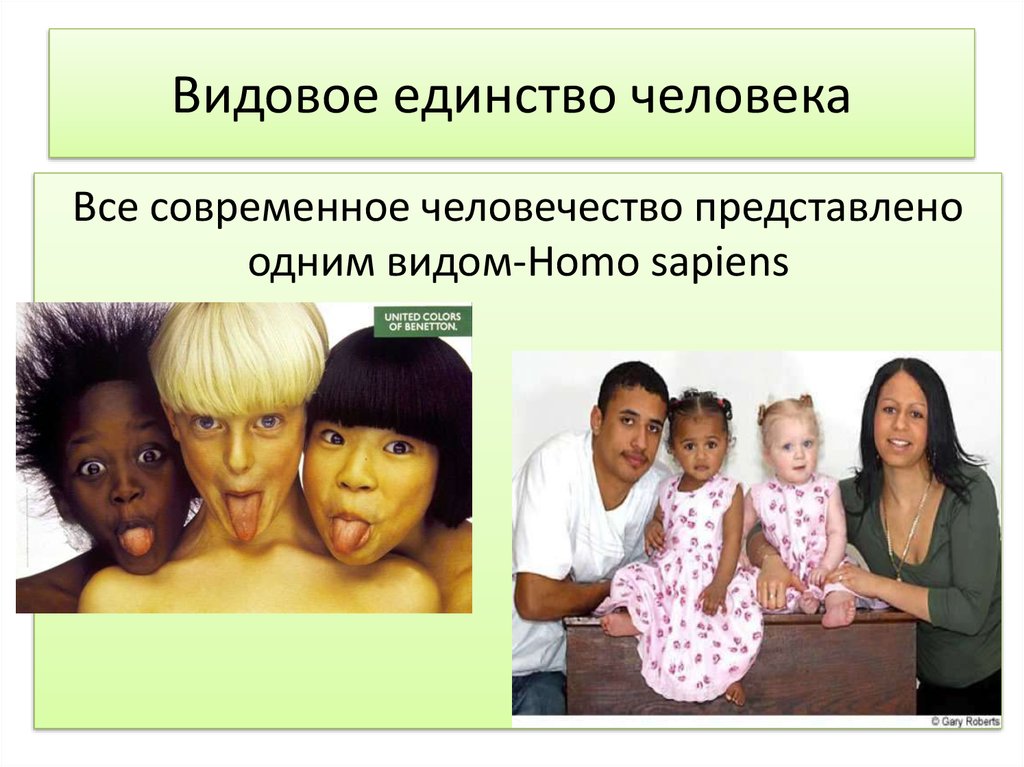 Презентация на тему человеческие расы