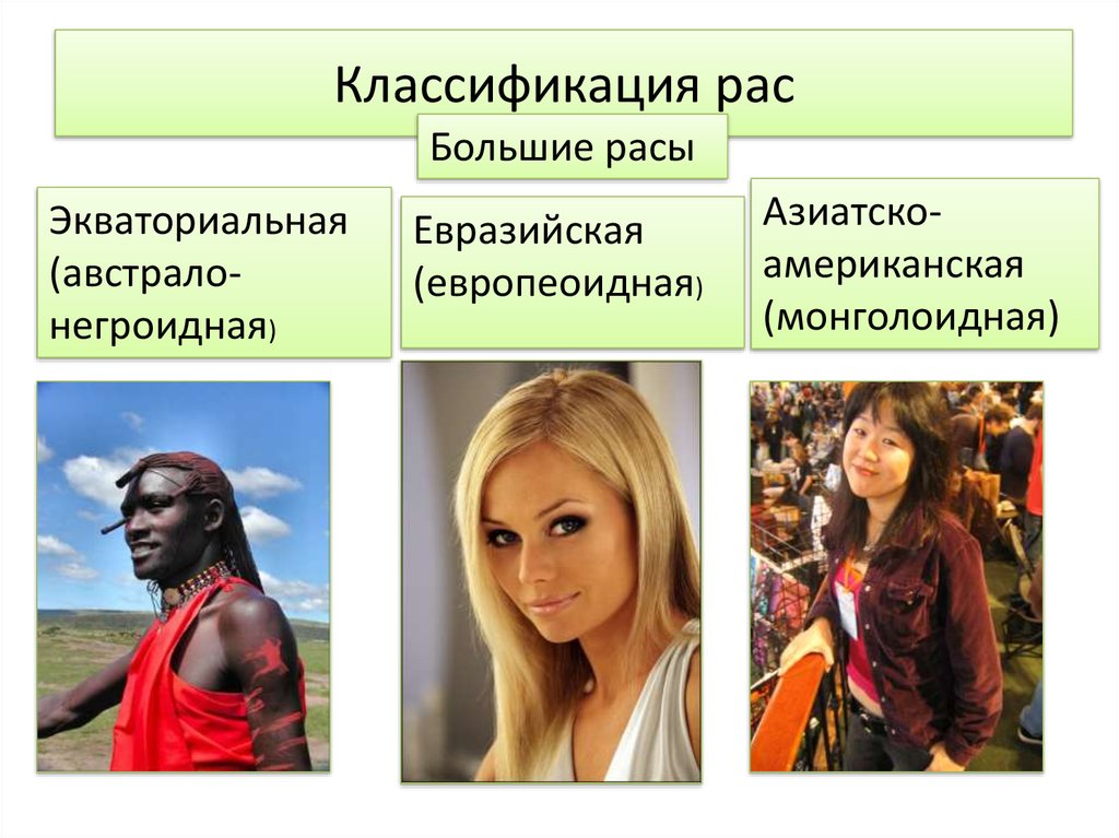 Человеческие расы принадлежат. Расы людей. Расы европеоидная монголоидная Экваториальная. Большие расы. Классификация рас.