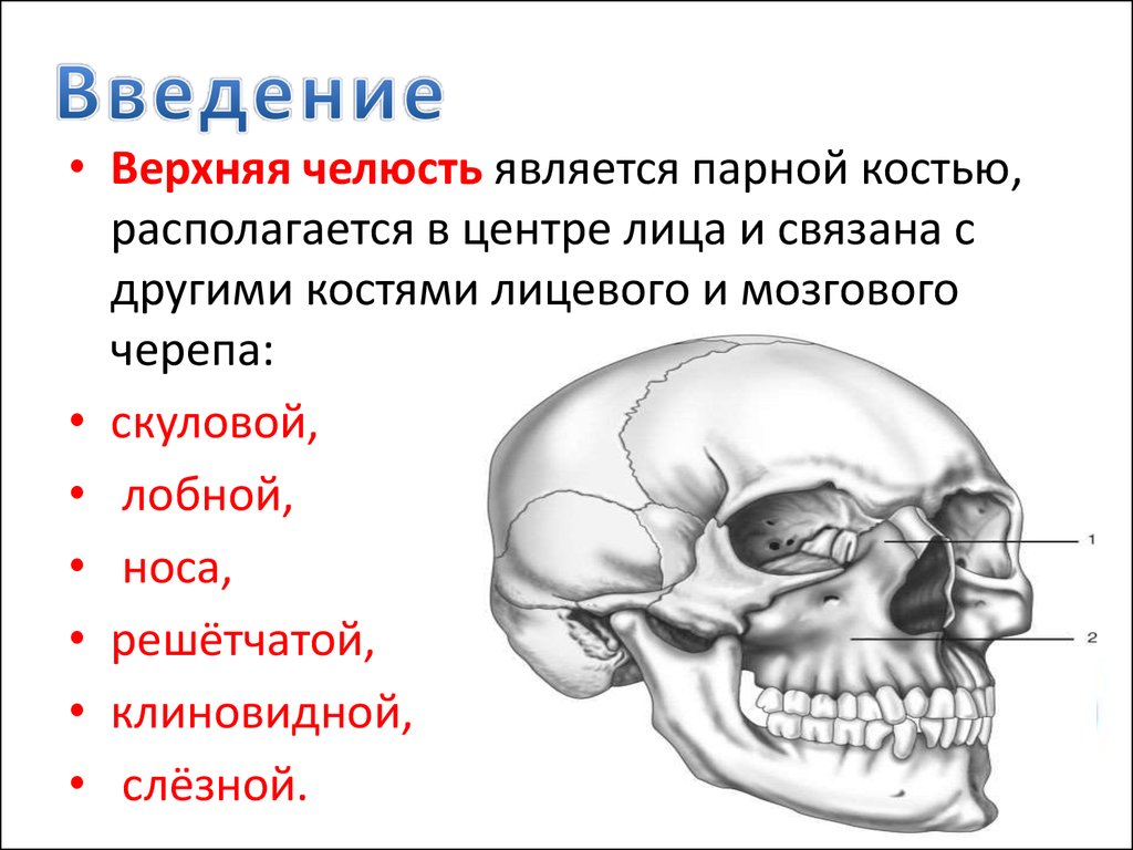 Перелом лицевого черепа. Череп перелом скуловой кости. Переломы костей лицевого и мозгового черепа. Оскольчатый перелом скуловой кости. Перелом верхней скуловой кости.