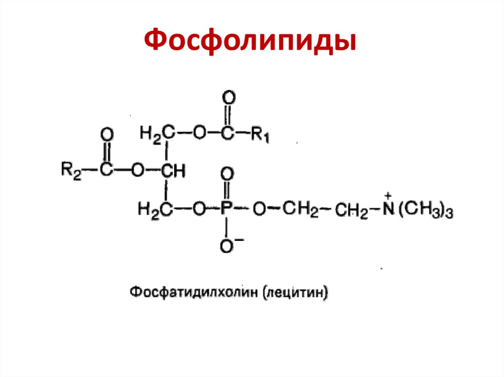Строение фосфолипида. Хим структура фосфолипидов. Фосфолипиды химическая формула. Фосфатидилхолин строение формула. Фосфолипид химическое строение.