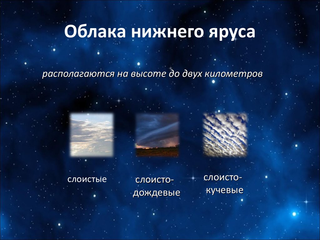 Высота нижнего яруса