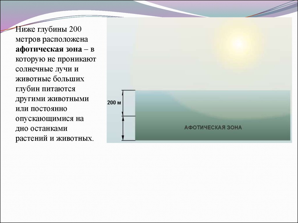 Ниже глубины. Глубина 200 метров. Эвфотическая и афотическая зоны. Эвфотический слой. На какую глубину проникают солнечные лучи.
