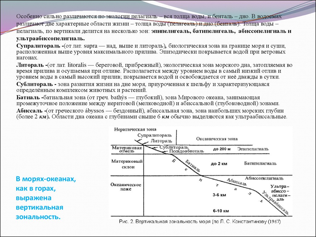 Зональность мирового океана. Экологические зоны мирового океана схема. Пелагиаль и бенталь. Экологические зоны пелагиали. Экологические зоны бентали и пелагиали мирового океана.