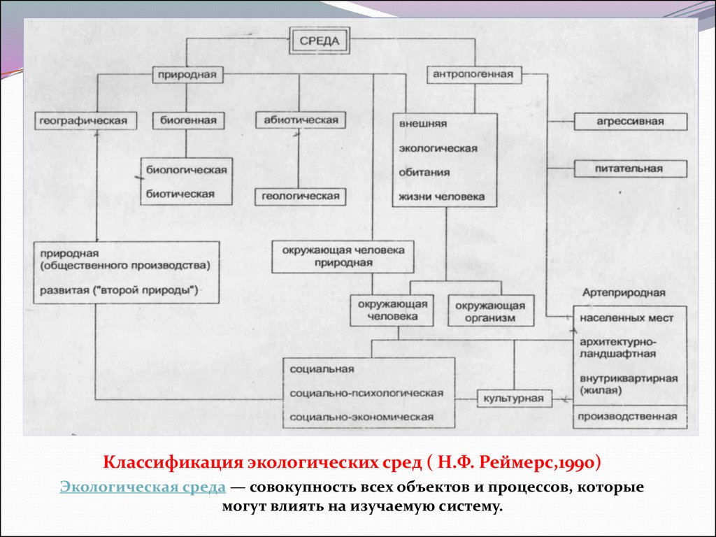 Классификация ф. Классификация понятия среда. Классификация среды Реймерса. Классификация среды (н.ф.Реймерс).. Классификация окружающей среды по Реймерсу.