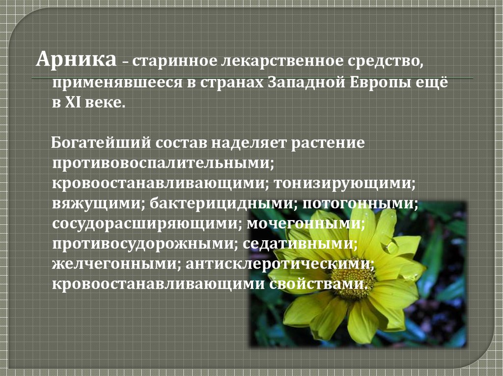 Препараты обладающие антисклеротическим действием презентация