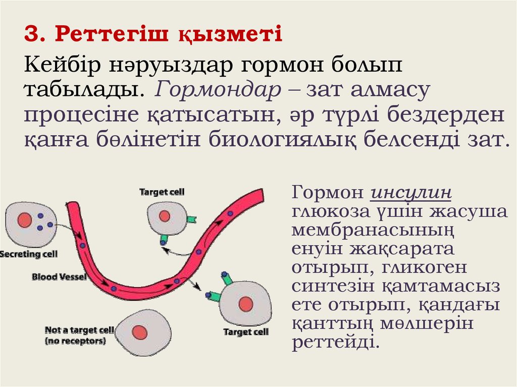 Масса алмасу процестері презентация