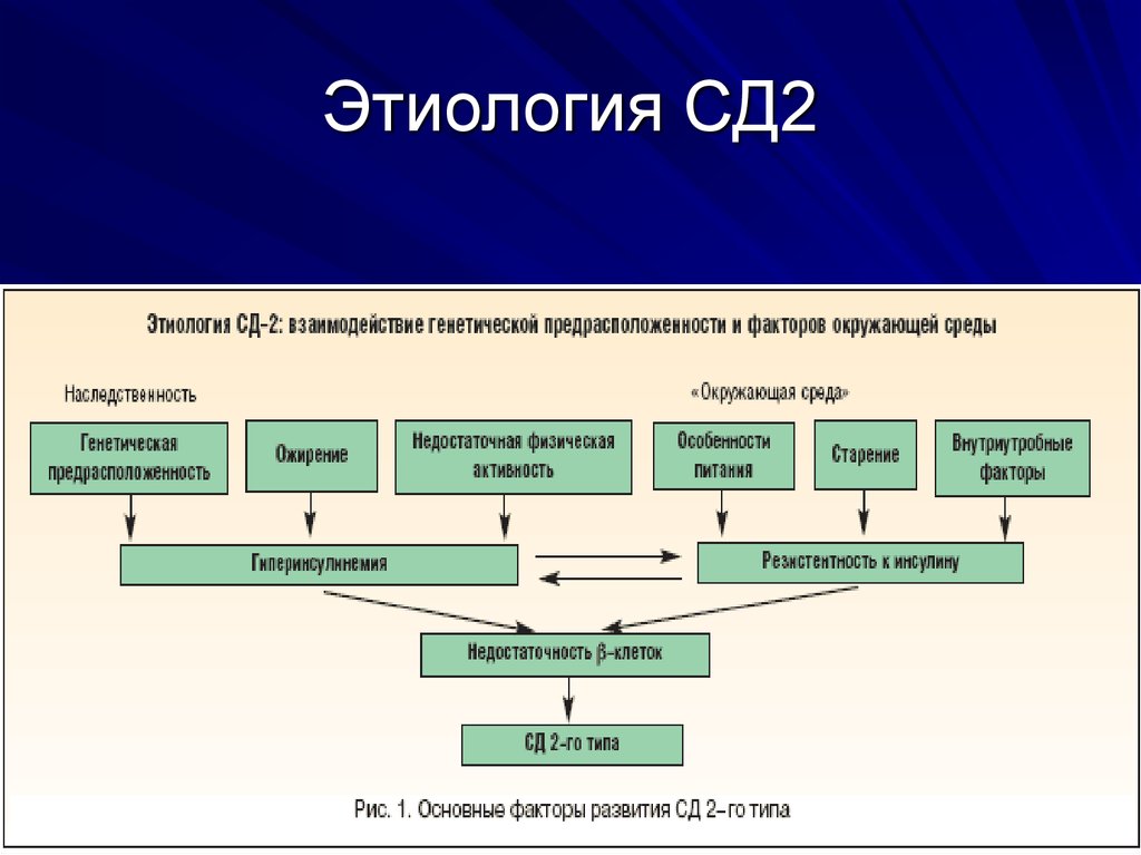 Сд 2 типа презентация