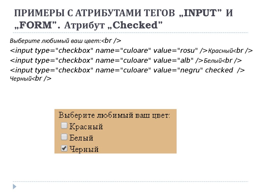 Тег input в html