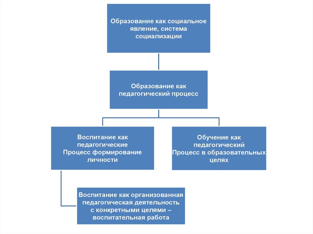 Образование как педагогический феномен