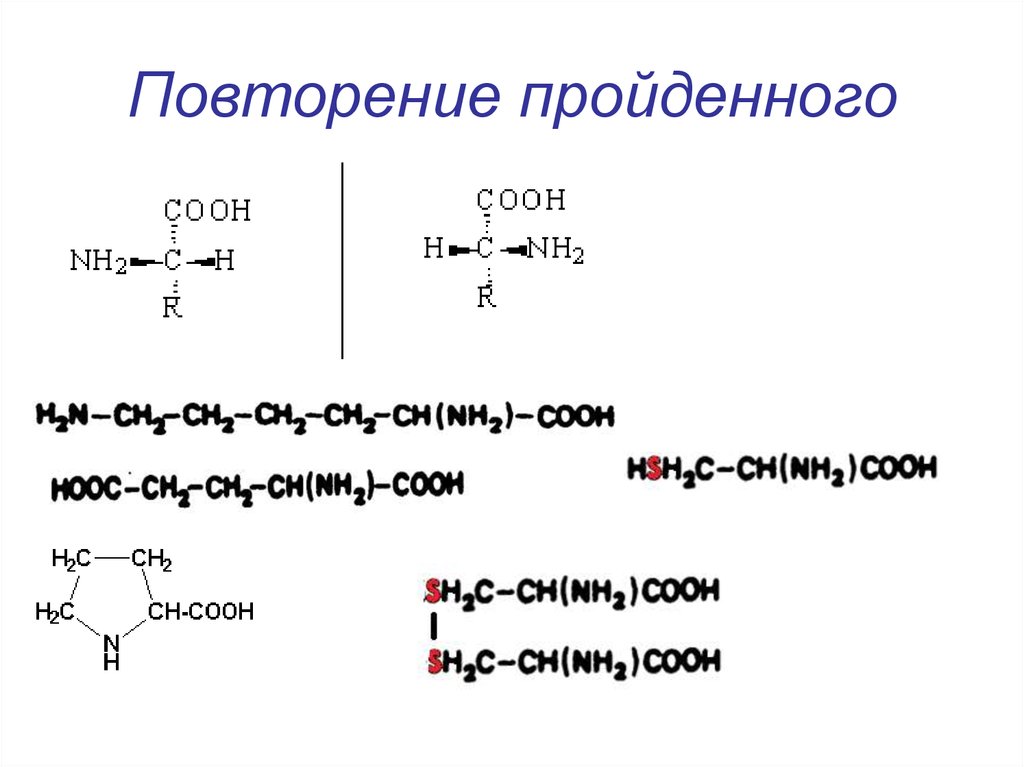 Схема микробиологического синтеза аминокислот